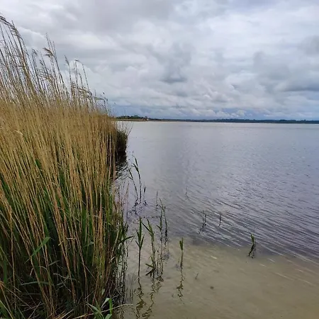 Laguna *