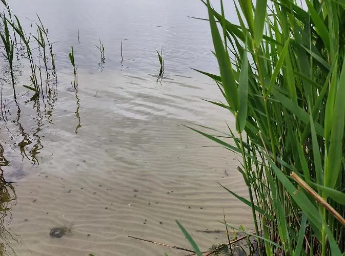 Laguna ホリデーパーク *